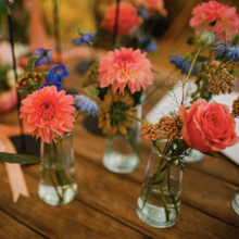 A styled arrangement of small clear glass vases holding pink, coral, peach, blue, and purple flowers on a wooden table, with a soft blurred background.